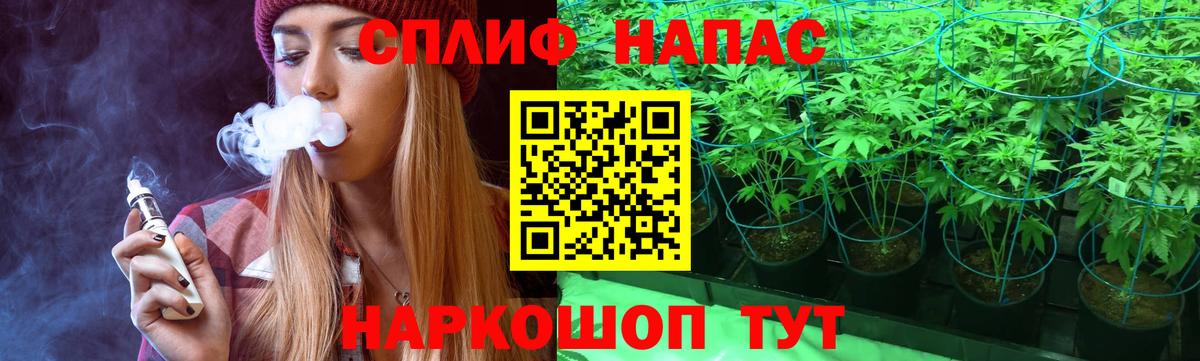 Канабис SATIVA & INDICA Шахты